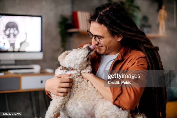 best friends - artists with animals stockfoto's en -beelden