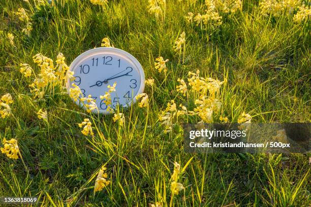 close-up of clock on field,tranemosevej,hedehusene,denmark - zeitumstellung stock-fotos und bilder