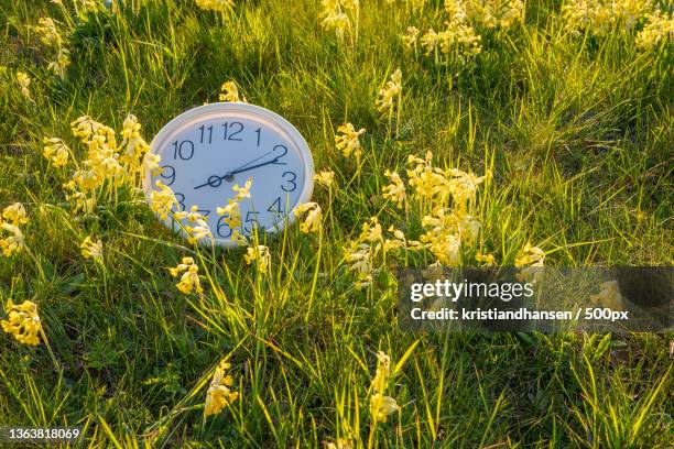 close-up of clock on field,tranemosevej,hedehusene,denmark - daylight saving time foto e immagini stock