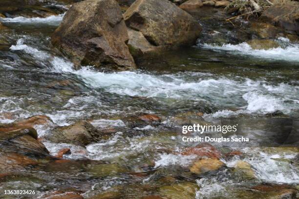 rushing water at a mountain spring - running water stream stock pictures, royalty-free photos & images