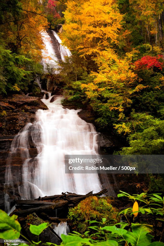 Anna Ruby Falls,Scenic view of waterfall in forest,Helen,Georgia,United States,USA