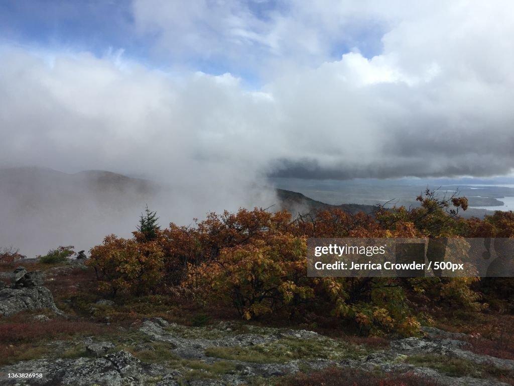 Playful Kiss,Scenic view of trees and mountains against sky