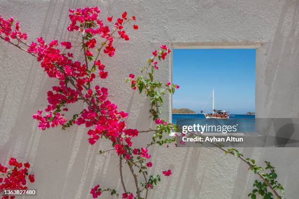 famous tourism city bodrum in mugla province of turkey - bougainville stockfoto's en -beelden