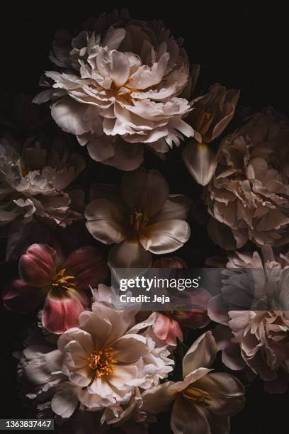 baroque style photo of bouquet - flower black background stock pictures, royalty-free photos & images