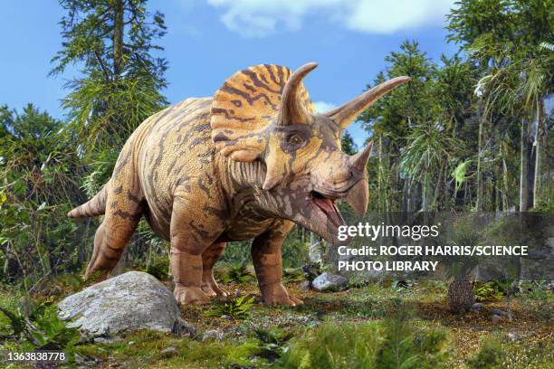 triceratops dinosaur, illustration - dinossauro imagens e fotografias de stock