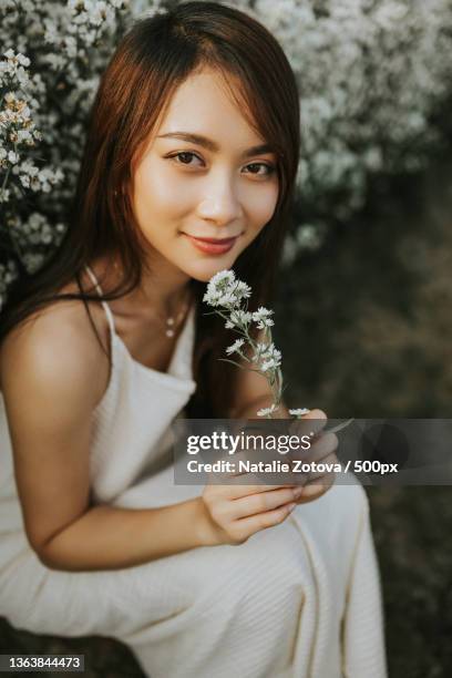 87 Thai Mueang District Stock Photos, HighRes Pictures, and Images