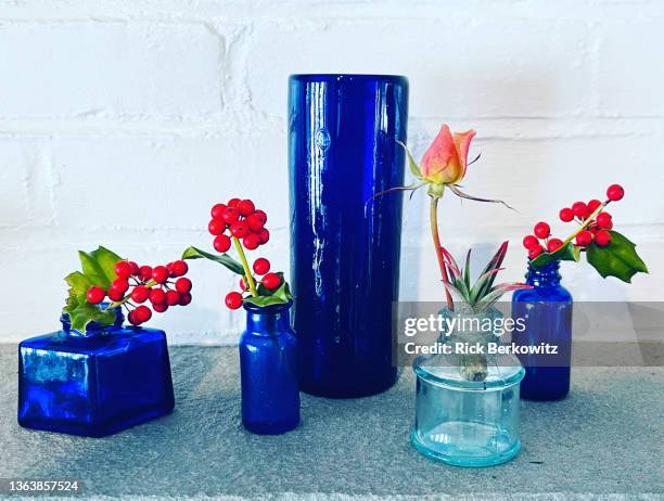 cobalt blue glass and fauna - blue glass stock pictures, royalty-free photos & images