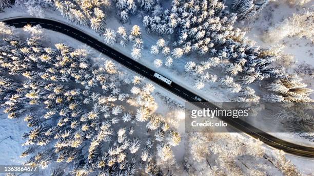route à travers la forêt hivernale - route sapin neige photos et images de collection