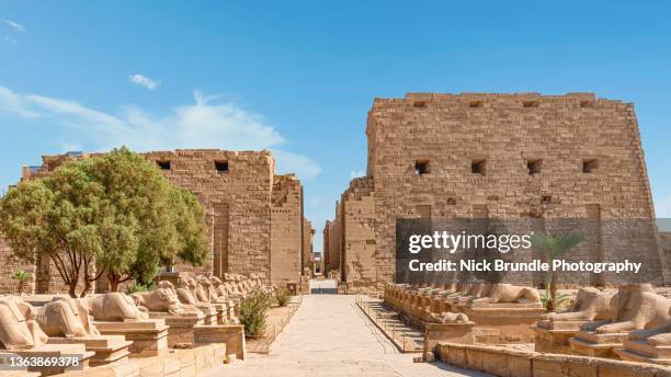 temple of karnak, luxor, egypt. - tempel von karnak stock-fotos und bilder