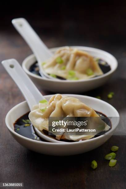 gnocchi di maiale fritti in padella con salsa di soia - chinese dumpling foto e immagini stock