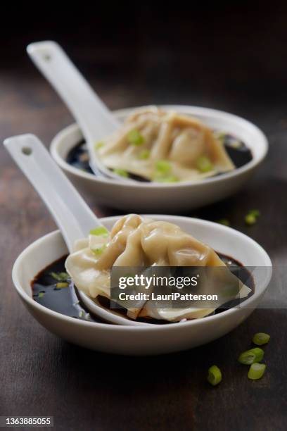 pan fried pork dumplings with soy sauce - appetizer stock pictures, royalty-free photos & images