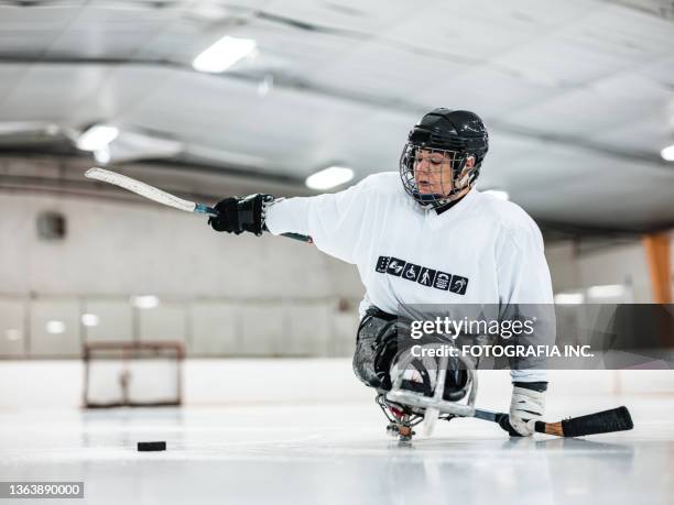 reife behinderte lateinamerikanerin spielt sledgehockey - canada hockey stock-fotos und bilder