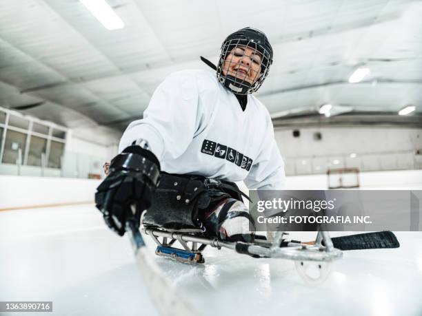 reife behinderte lateinamerikanerin spielt sledgehockey - hockey rink stock-fotos und bilder
