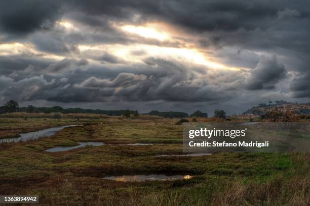 landscape in the peat bog at sunset - moor feuchtgebiet stock-fotos und bilder