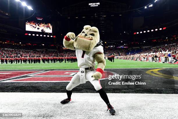 The Georgia Bulldogs mascot reacts on the sidelines before the 2022 CFP National Championship Game between the Alabama Crimson Tide and the Georgia...