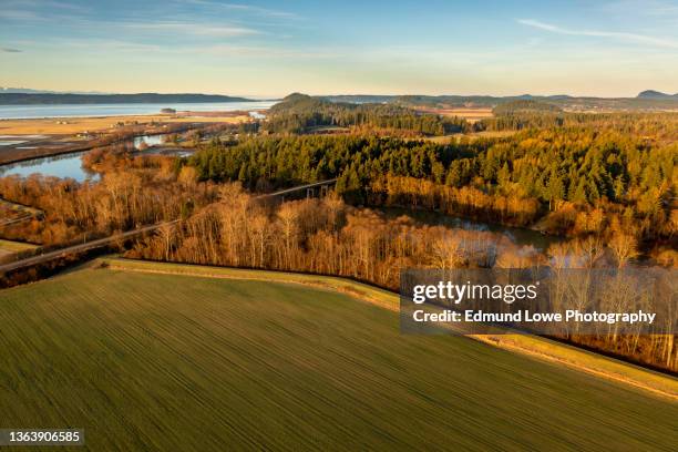beautiful aerial view of the skagit river in winter. - mount vernon stock pictures, royalty-free photos & images