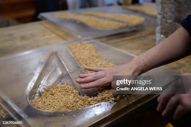 French luthier Rachel Rosenkrantz fills a mold with mycelium and cornhusks to make a guitar in her studio on June 21 in Providence, Rhode Island....