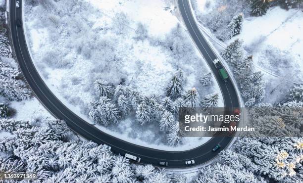 winter transport on winter forest road - wilderness road stock pictures, royalty-free photos & images