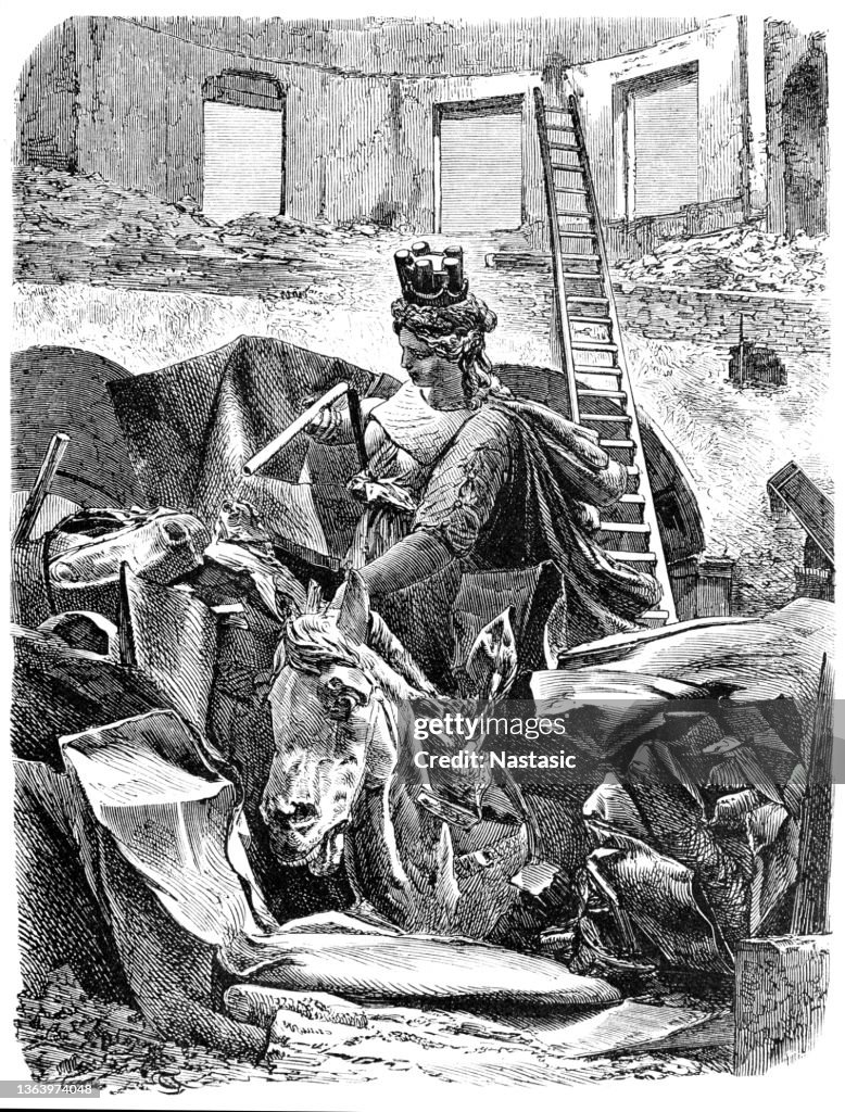 "Brunonia" after the fire