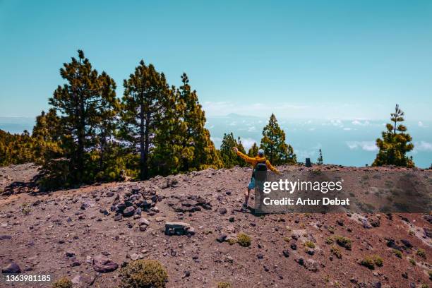 guy up in the volcanic island of la palma with blue infinity horizon. - la palma canarische eilanden stockfoto's en -beelden