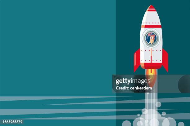 stockillustraties, clipart, cartoons en iconen met rocket wallpaper - raket ruimteschip