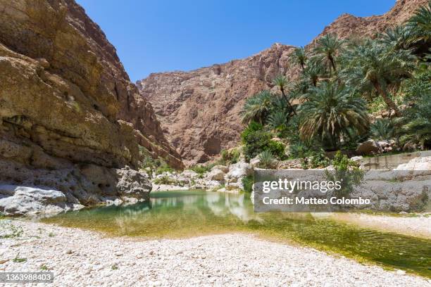 canyon with water oasis, wadi shab, oman - riverbed fotografías e imágenes de stock