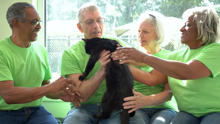 https://media.gettyimages.com/id/1363989924/video/four-senior-volunteers-at-pet-shelter-playing-with-cat.jpg?b=1&s=640x640&k=20&c=ANNzkh1tyPcaSjCY7teHxrqjz8N6EePOe-leHBd1bm0=
