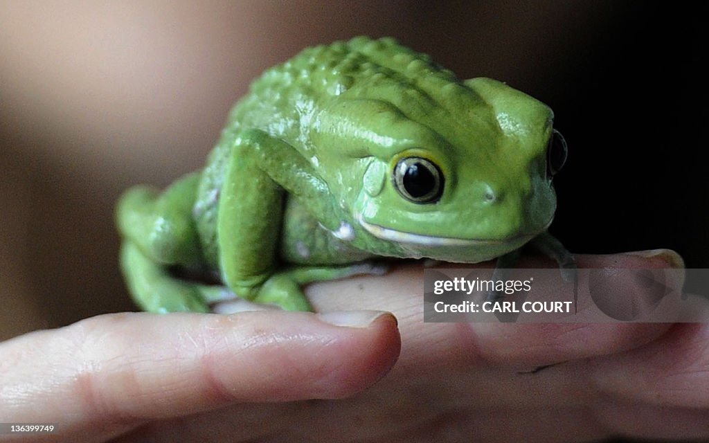 Zoo keeper Sarah Dempsey poses for photo