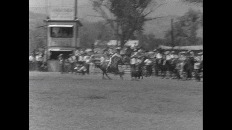 First Rodeo In Rope 86 Rodeo Calf Roping Stock Videos, Footage, & 4K Video Clips - Getty Images