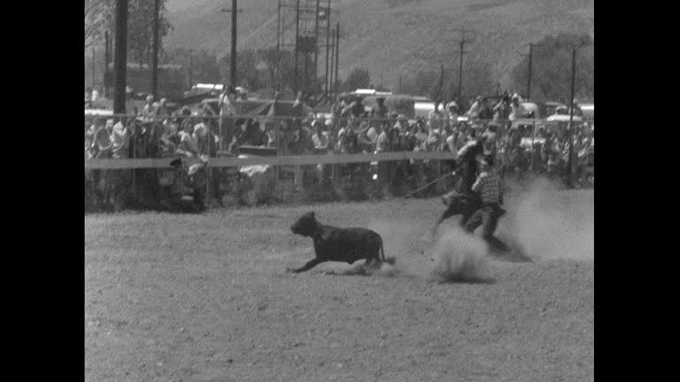 First Rodeo In Rope 86 Rodeo Calf Roping Stock Videos, Footage, & 4K Video Clips - Getty Images