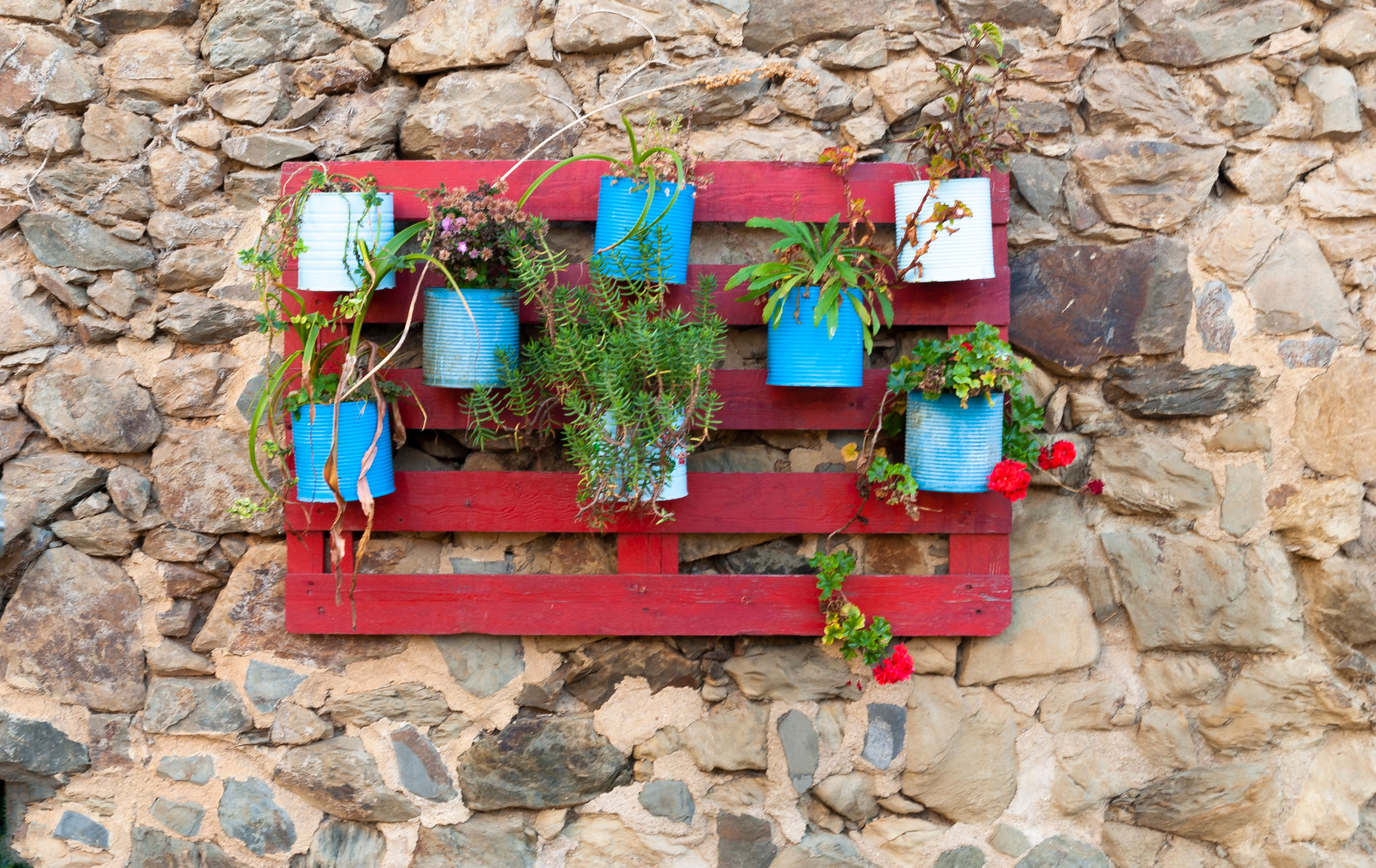 colorful garden decor
