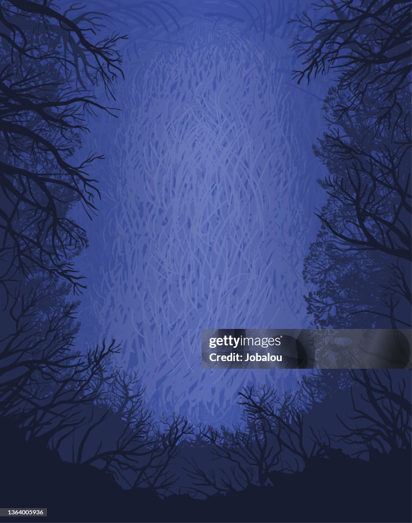 Branches and Naked Trees of a Dark Forest