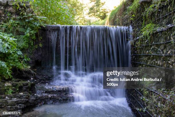 stream,scenic view of waterfall in forest,asiago,vicenza,italy - iulian andrei stock-fotos und bilder