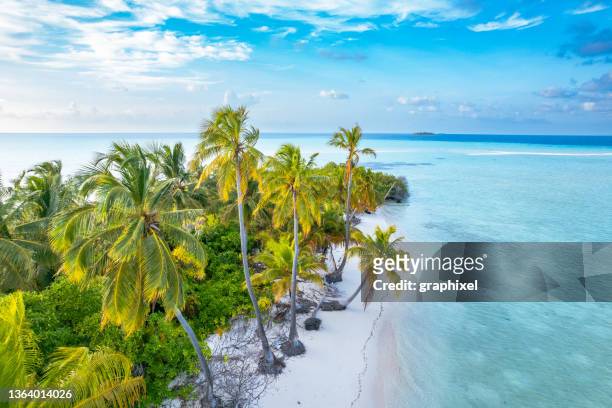 aerial view of tropical island in ocean - aerial beach view sunbathers stock pictures, royalty-free photos & images