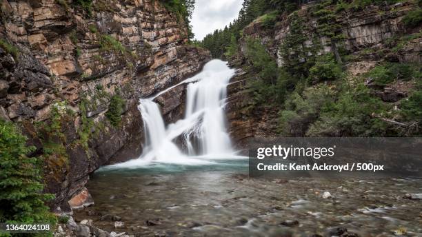 cameron falls,scenic view of waterfall in forest,waterton,alberta,canada - waterton lakes national park stock-fotos und bilder