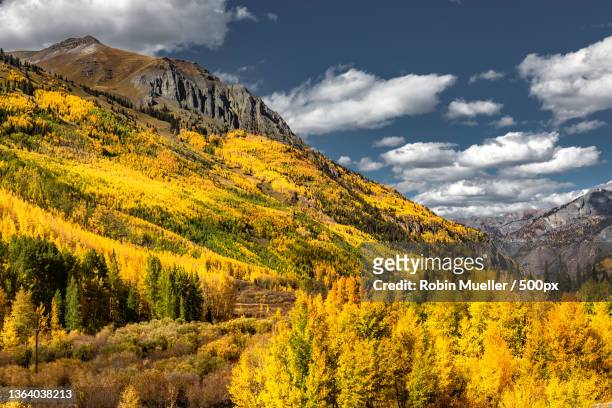 a splash of color,scenic view of mountains against sky during autumn,telluride,colorado,united states,usa - telluride stock-fotos und bilder