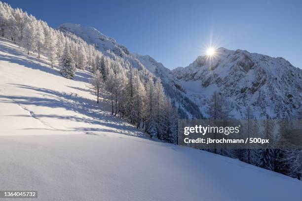 a perfect winter day,scenic view of snowcapped mountains against clear sky,oberweng,spital am pyhrn,austria - spital am pyhrn stock pictures, royalty-free photos & images