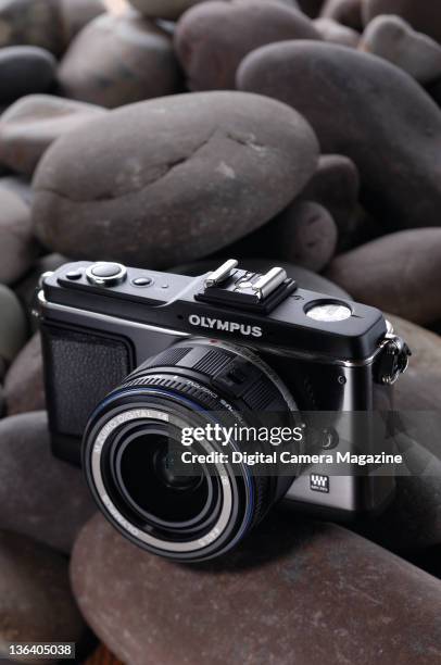 Olympus PEN E-P2 12.3 MP Micro Four Thirds digital camera, taken on January 13, 2010.