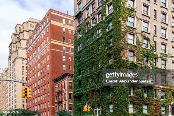 building covered with ivy in upper west side, new york city, usa - overgrown stock pictures, royalty-free photos & images