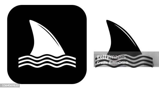 illustrazioni stock, clip art, cartoni animati e icone di tendenza di icone delle pinne di squalo bianche e nere - pinna animale