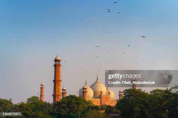 birds flying over mosque in pakistan at sunset - pakistan culture stock pictures, royalty-free photos & images