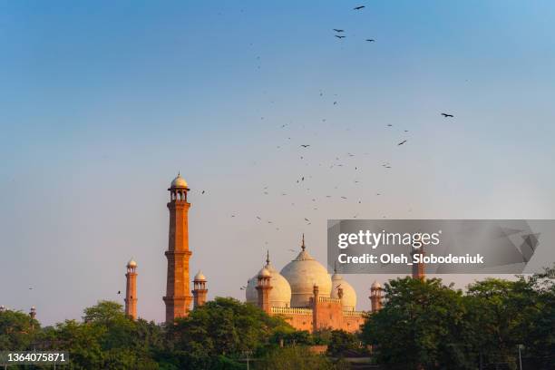 birds flying over mosque in pakistan at sunset - pakistan monument 個照片及圖片檔