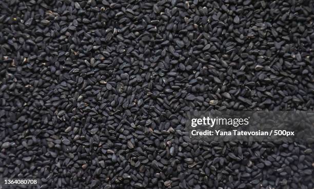 there are many black cumin seeds selective focus - nigella stock pictures, royalty-free photos & images