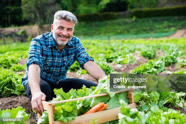 man in the vegetable field - mature adult gardening stock pictures, royalty-free photos & images