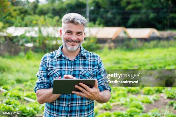 plantas de cultivo de homens usando tecnologia - tablet digital - using digital tablet - fotografias e filmes do acervo