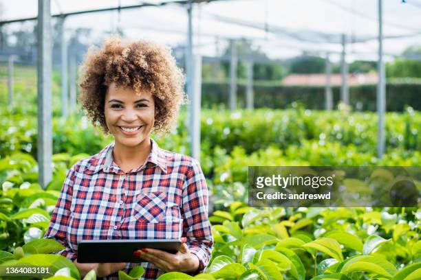 woman growing plants using technology - digital tablet - agronomist stock pictures, royalty-free photos & images