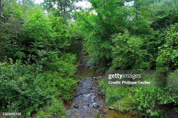 shamona creek, downingtown, pennsylvania - pennsylvania forest stock pictures, royalty-free photos & images