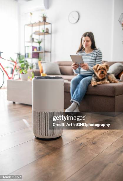 woman adjusting a home air cleaner using a smart system. - air purifier stock pictures, royalty-free photos & images