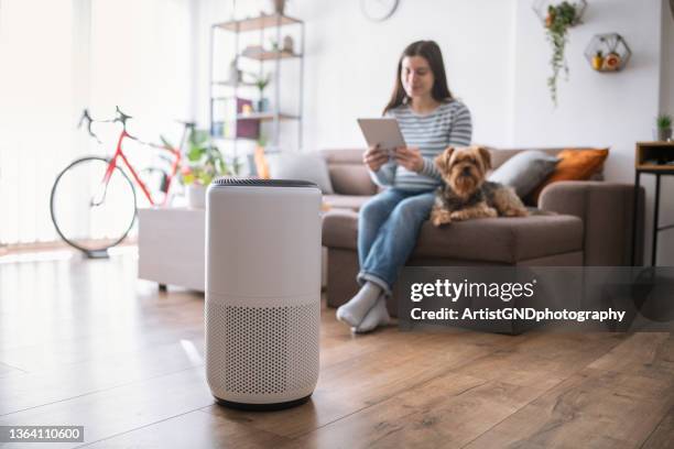 mujer joven en la sala de estar instalando el purificador de aire del hogar. - air purifier fotografías e imágenes de stock