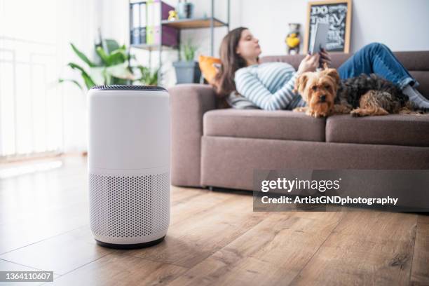 young woman in living room setting up home air purifier. - filter and sort stock pictures, royalty-free photos & images